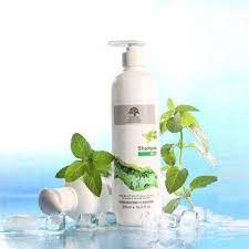 Mint Shampoo