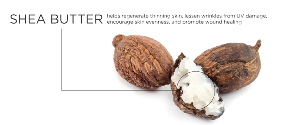 Shea Butter Body Milk