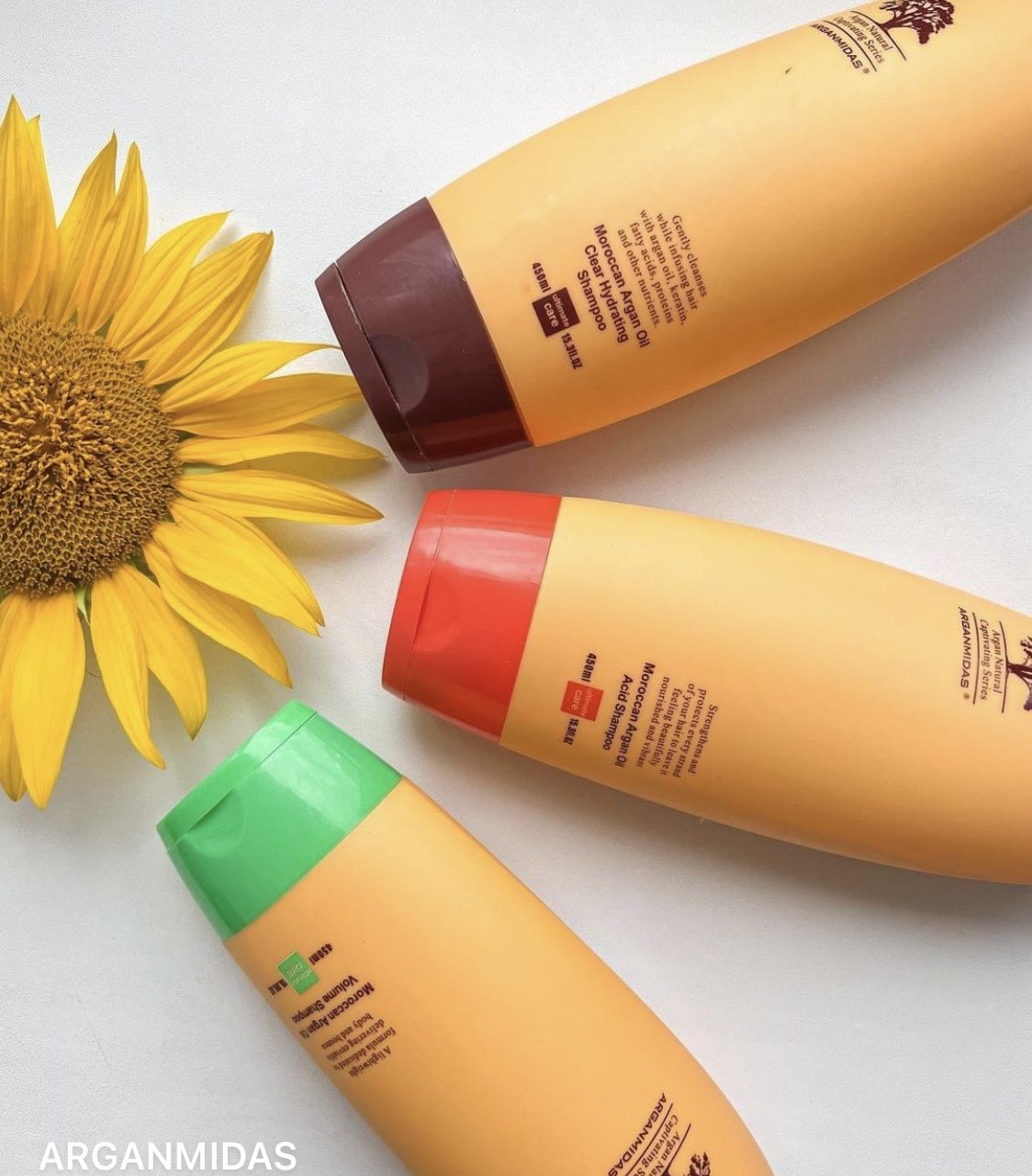 Moroccan Argan Oil Acid Shampoo